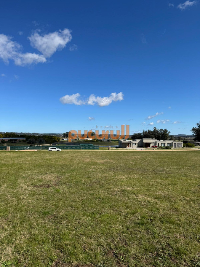 El Quijote - GoPunta - Portal Inmobiliario de Punta del Este - Maldonado