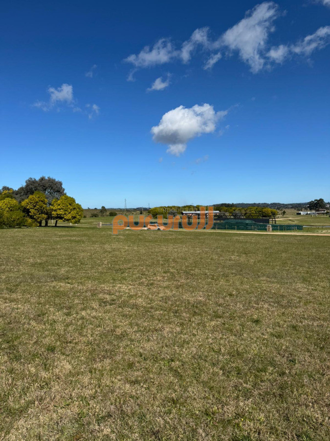 El Quijote - GoPunta - Portal Inmobiliario de Punta del Este - Maldonado