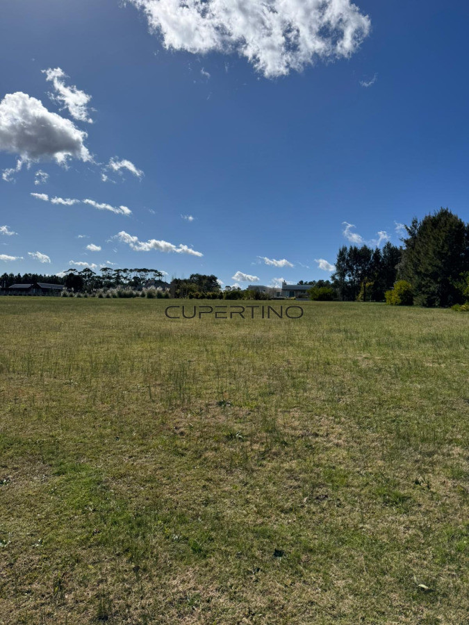 Terreno en La Barra, El Quijote — foto 4