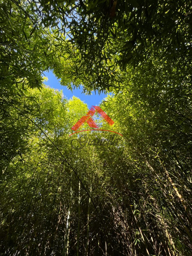 Casa ID.1891 - Casa entre el bosque y el mar.