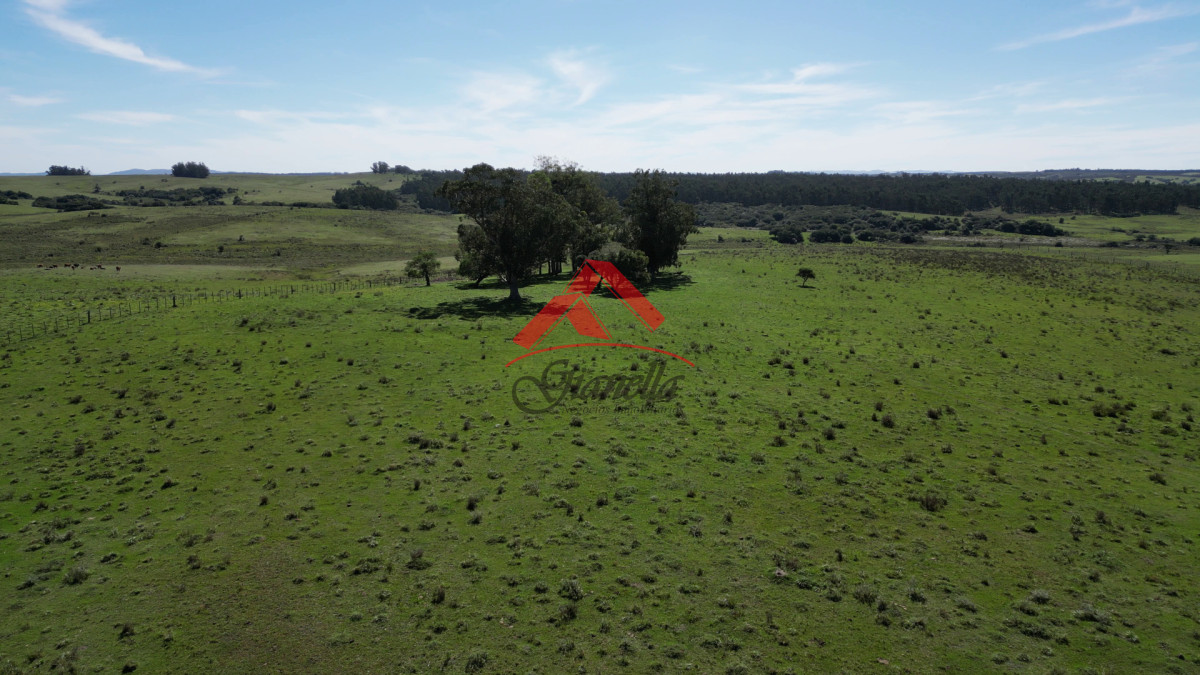 Chacra ID.1988 - Chacra con costa en arroyo, Garzón.