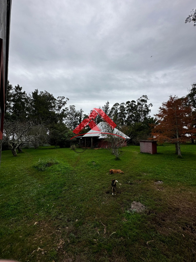 Chacra ID.1969 - Chacra en Los Ceibos