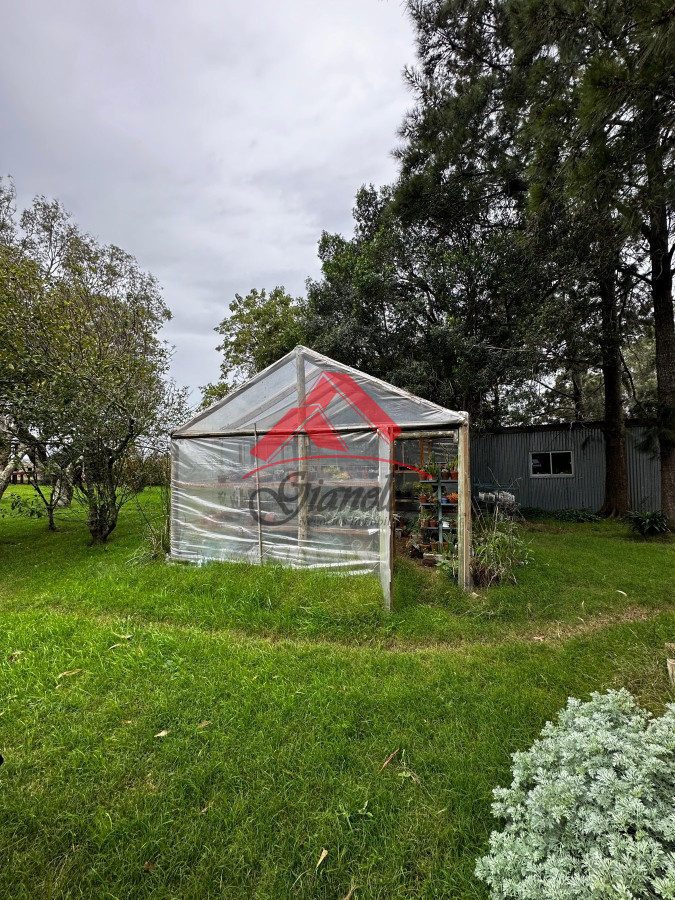 Chacra ID.1969 - Chacra en Los Ceibos