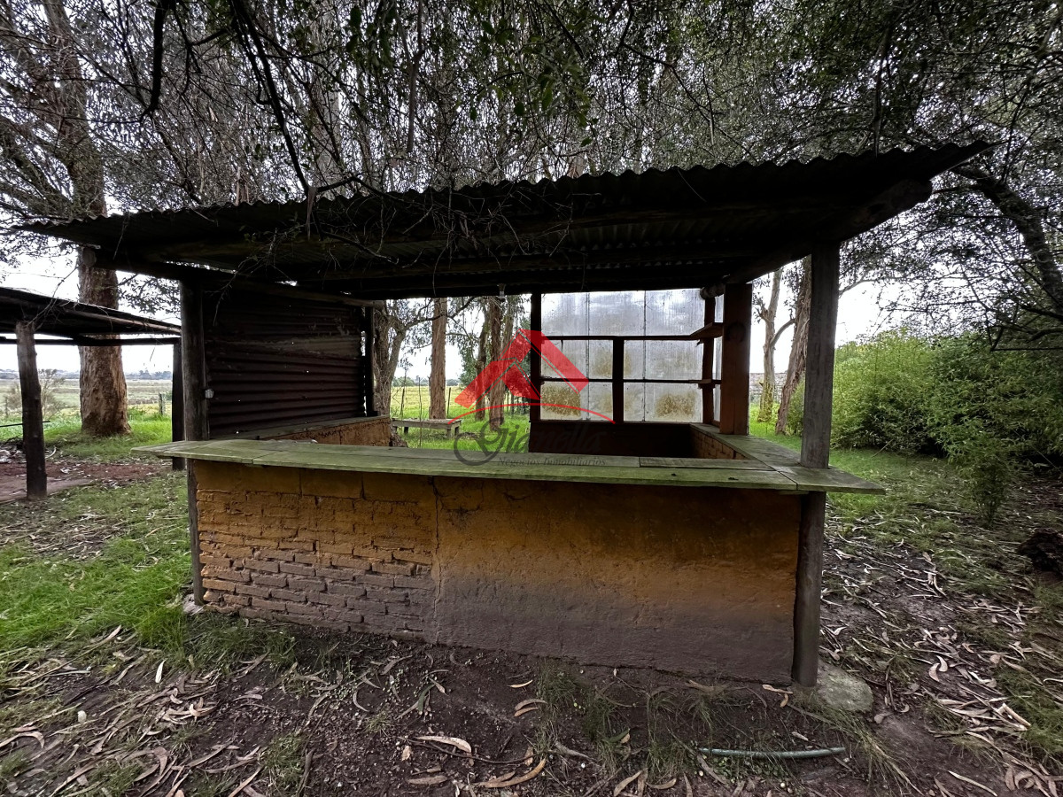 Chacra ID.1969 - Chacra en Los Ceibos