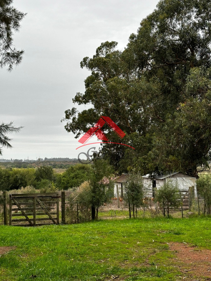 Chacra ID.1969 - Chacra en Los Ceibos