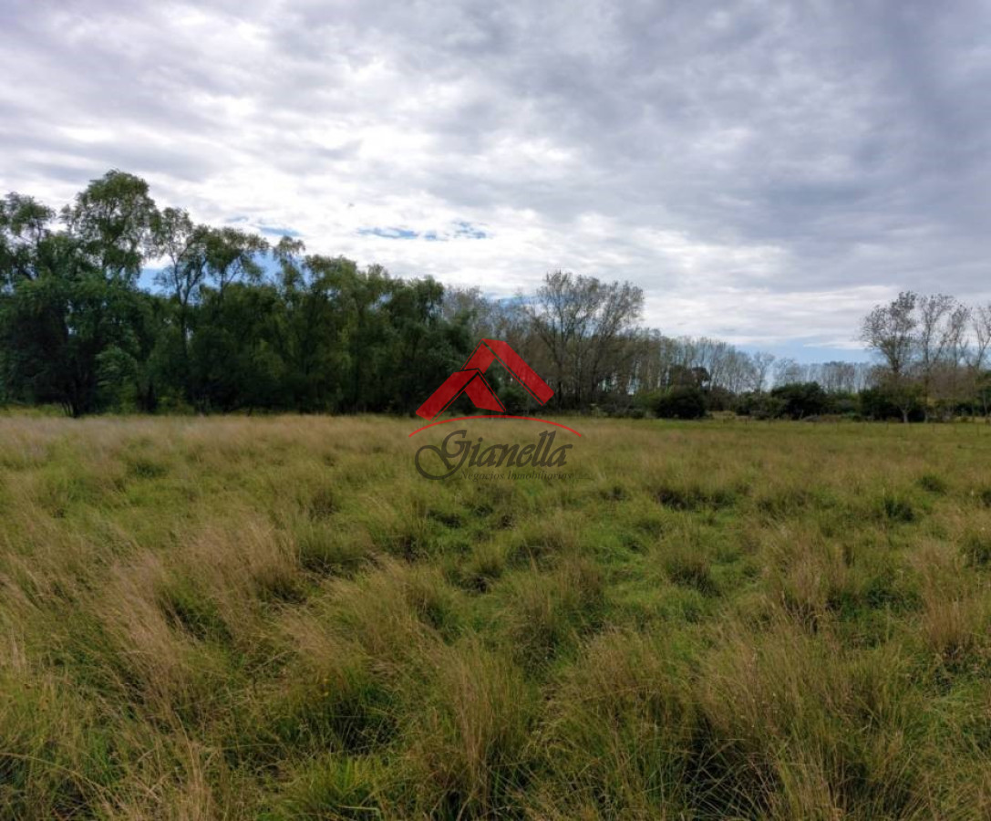 Chacra ID.1988 - Chacra con costa en arroyo, Garzón.