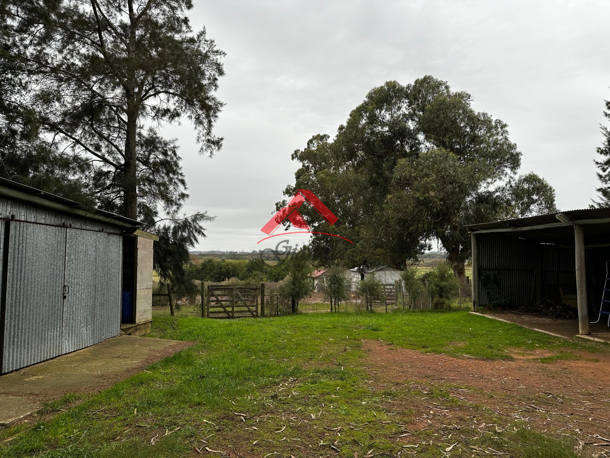 Chacra ID.1969 - Chacra en Los Ceibos