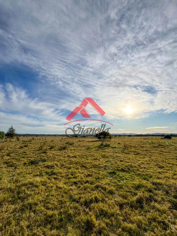 Chacra ID.2126 - Chacra de 26 has en Corte de la leña, Maldonado.