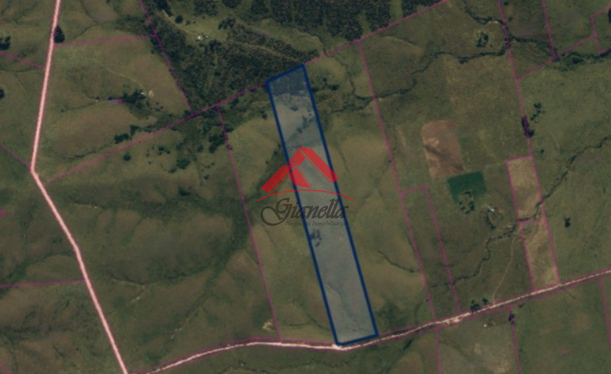 Chacra ID.1988 - Chacra con costa en arroyo.