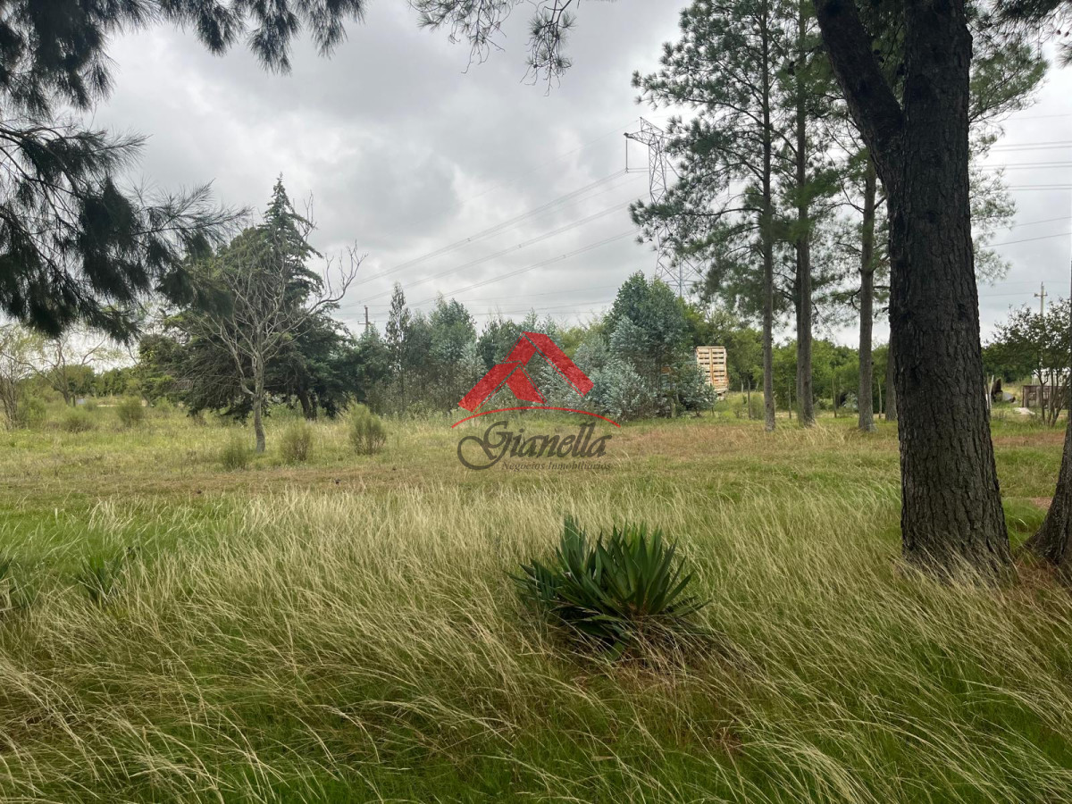 Chacra ID.2081 - Chacras a pocos kilómetros de San Carlos