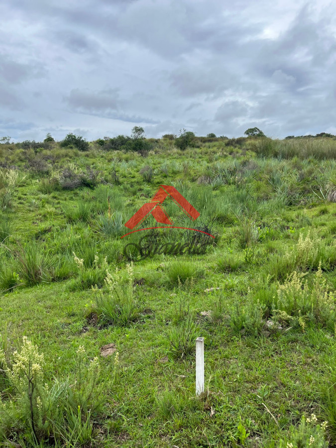 Chacra ID.2078 - Chacra 19 hectáreas