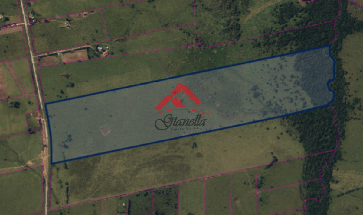 Chacra ID.2053 - Campo sobre ruta 12.