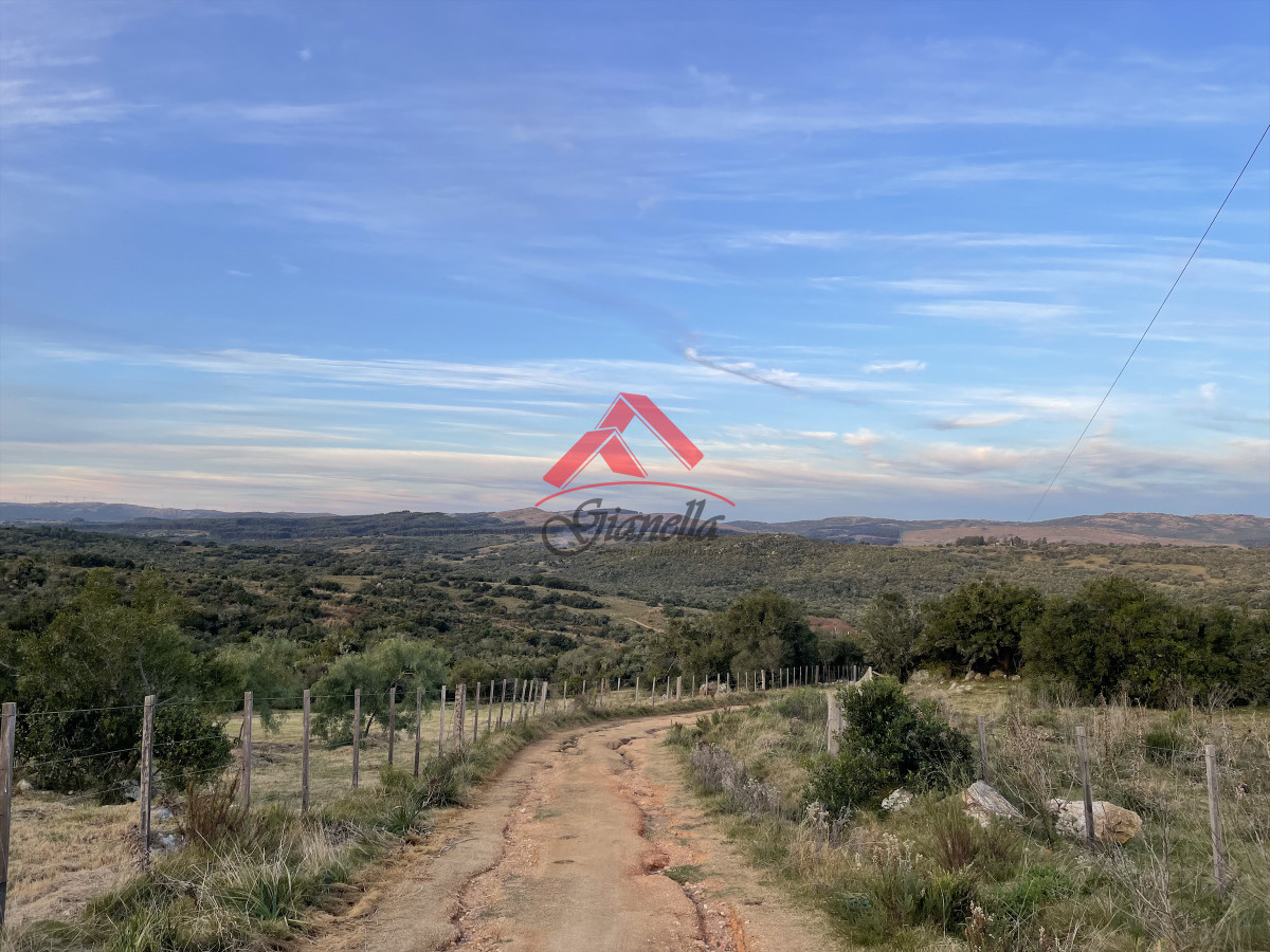 Chacra ID.2129 - Chacra de 5,6 has en Las Cañas, Maldonado.