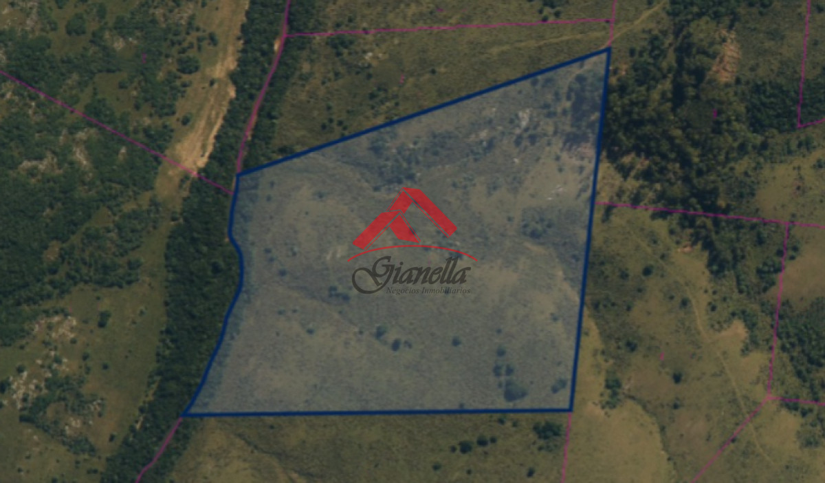 Chacra ID.2078 - Chacra 19 hectáreas