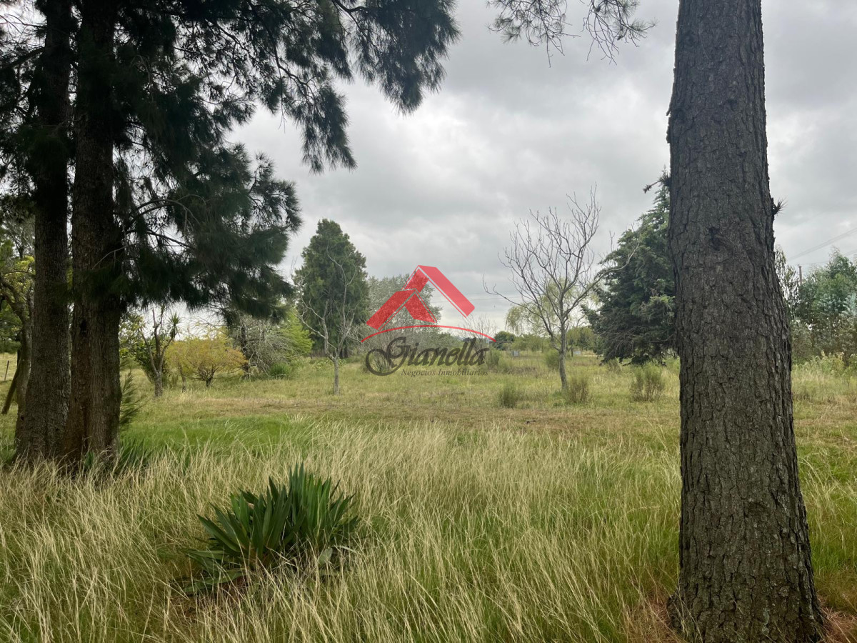 Chacra ID.2081 - Chacras a pocos kilómetros de San Carlos