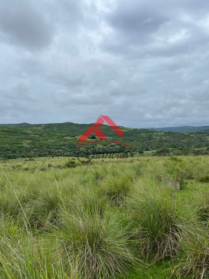 Chacra ID.2079 - Chacra 19 hectáreas