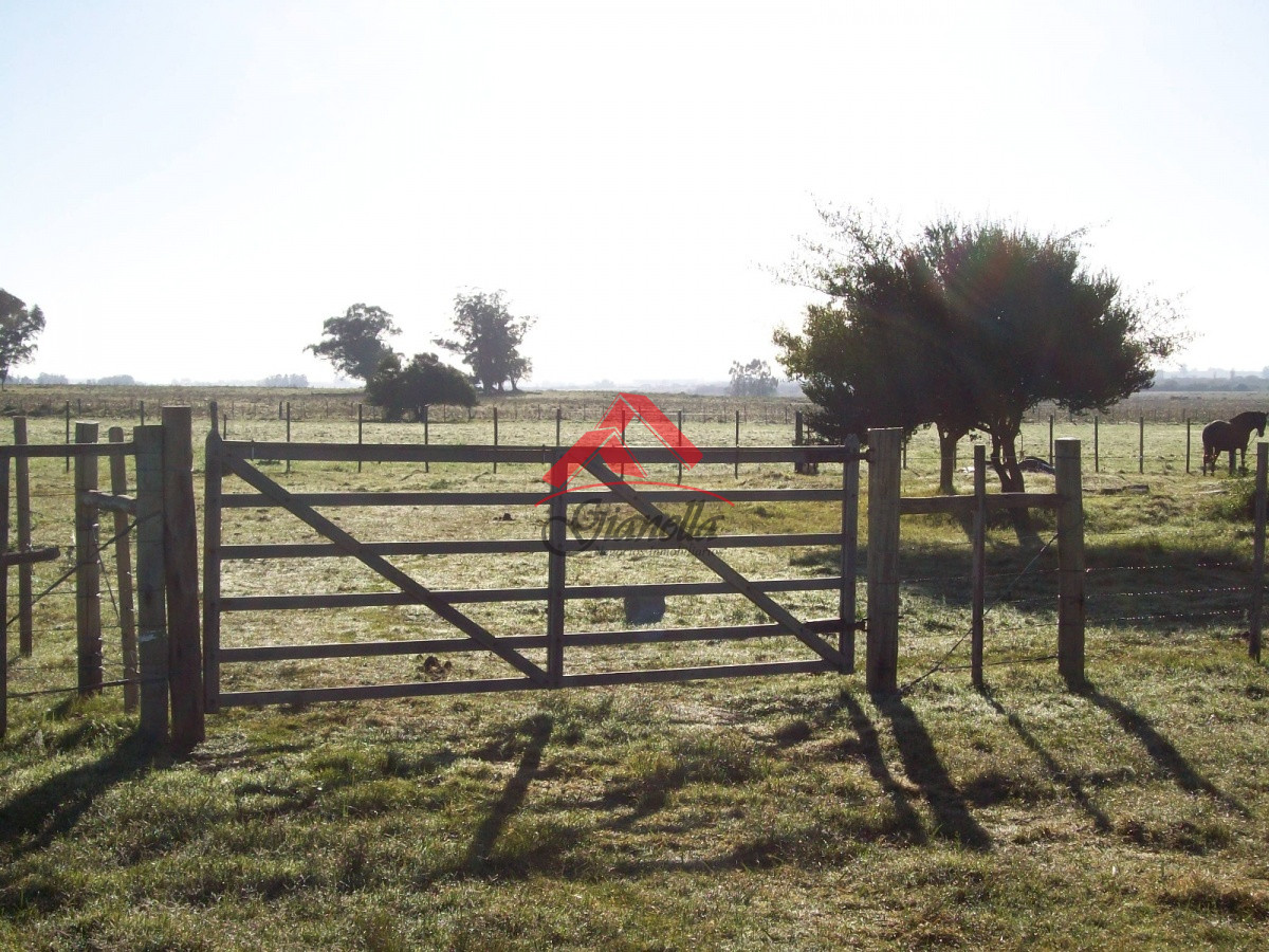 Chacra ID.1709 - 26 hás en Cañada Bellaca.