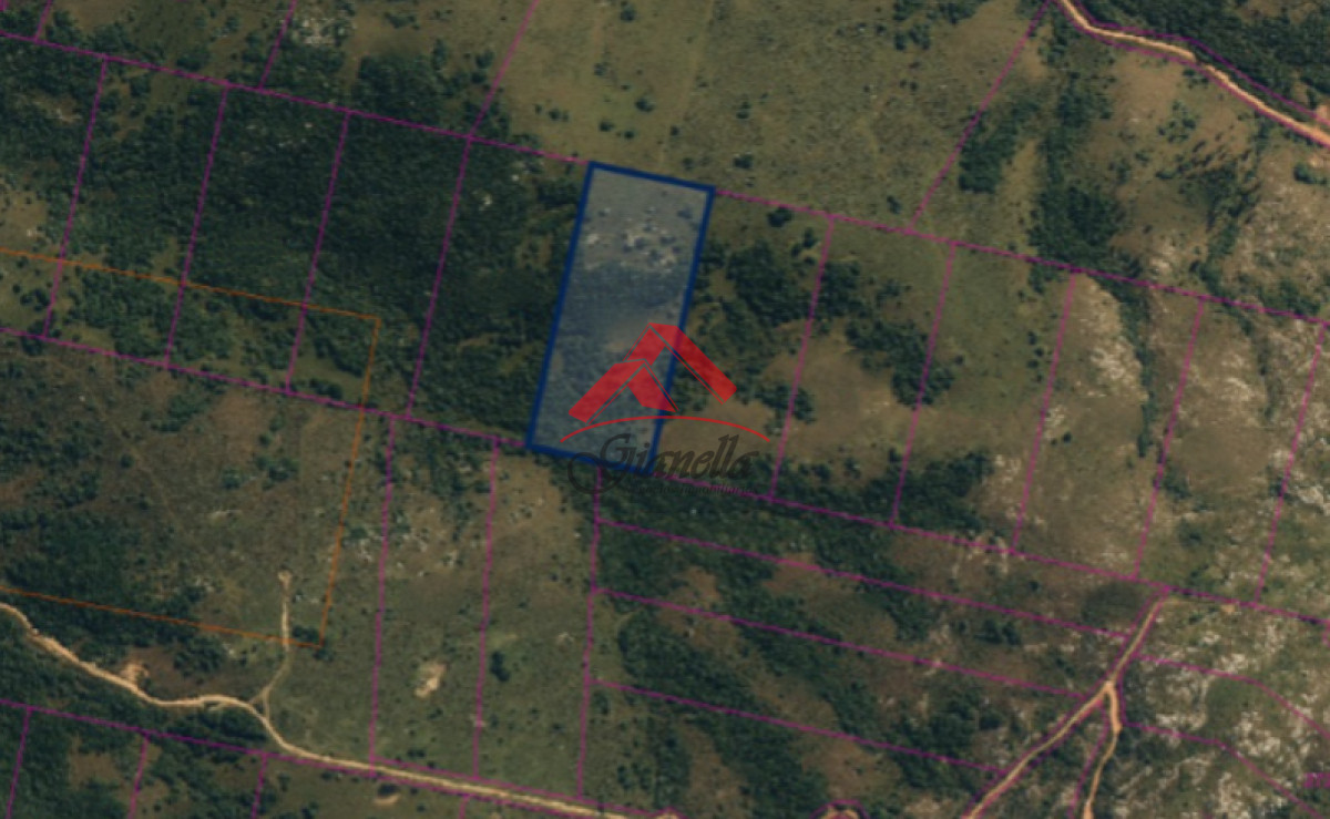 Chacra ID.2048 - Chacra de 5 hectáreas, Las Cañas