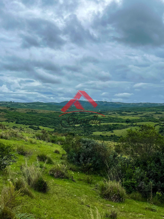 Chacra ID.2079 - Chacra 19 hectáreas