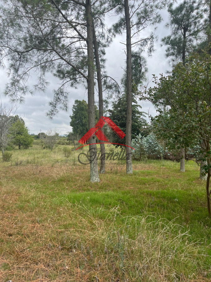 Chacra ID.2081 - Chacras a pocos kilómetros de San Carlos