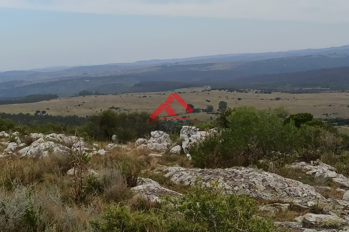 Chacra ID.2048 - Chacra de 5 hectáreas, Las Cañas