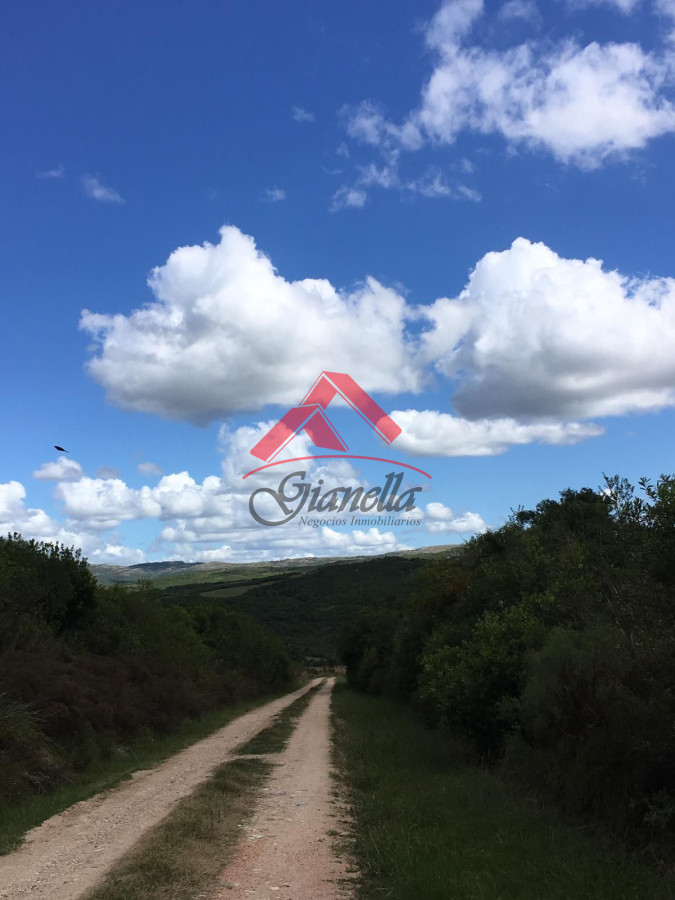 Chacra ID.2079 - Chacra 19 hectáreas