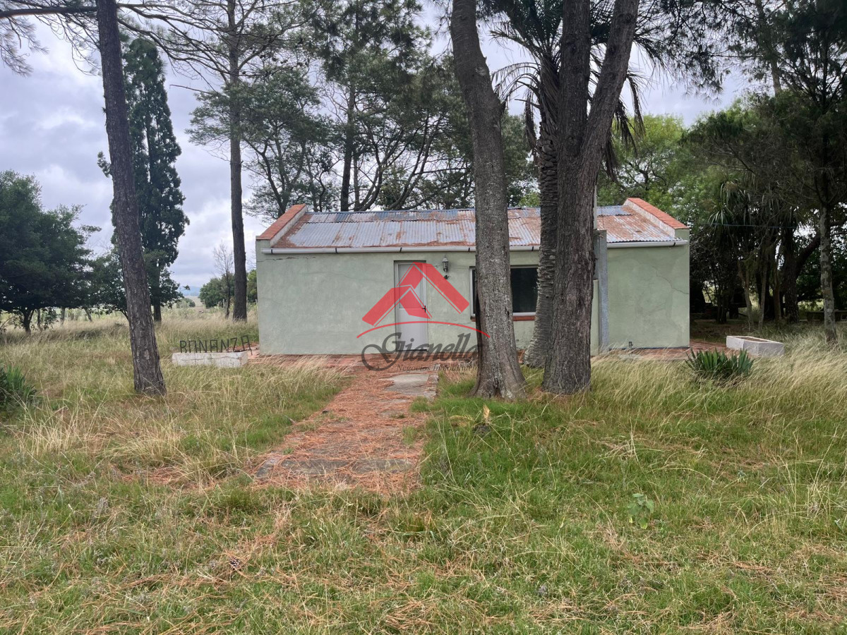 Chacra ID.2081 - Chacras a pocos kilómetros de San Carlos