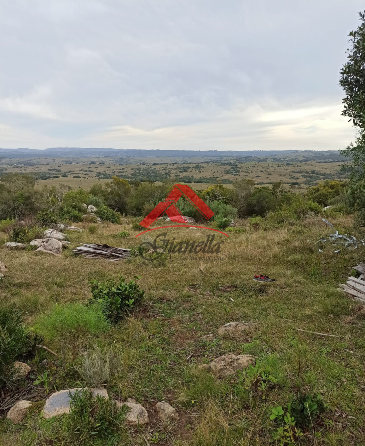 Chacra ID.2048 - Chacra de 5 hectáreas, Las Cañas