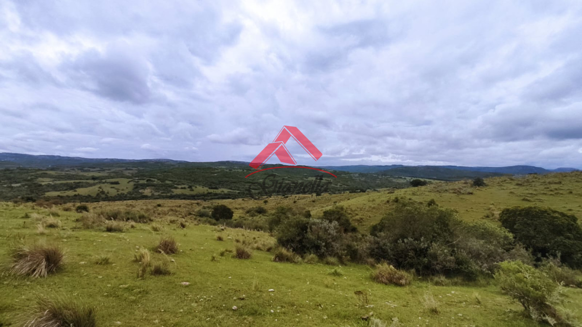 Chacra ID.2079 - Chacra 19 hectáreas