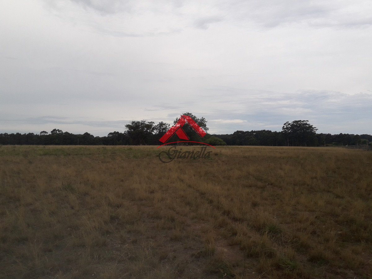 Chacra ID.1702 - Chacra en venta