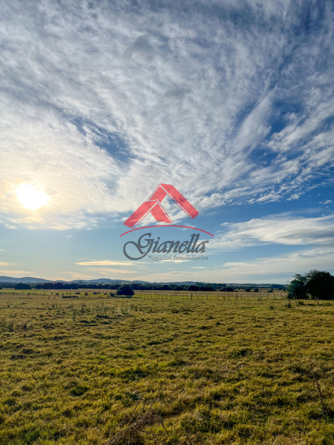 Chacra ID.2126 - Chacra de 26 has en Corte de la leña, Maldonado.