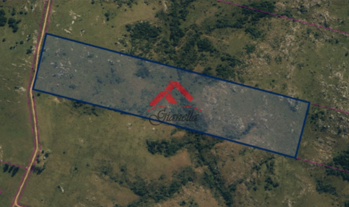 Chacra ID.2054 - Chacra a 35 kilómetros de San Carlos