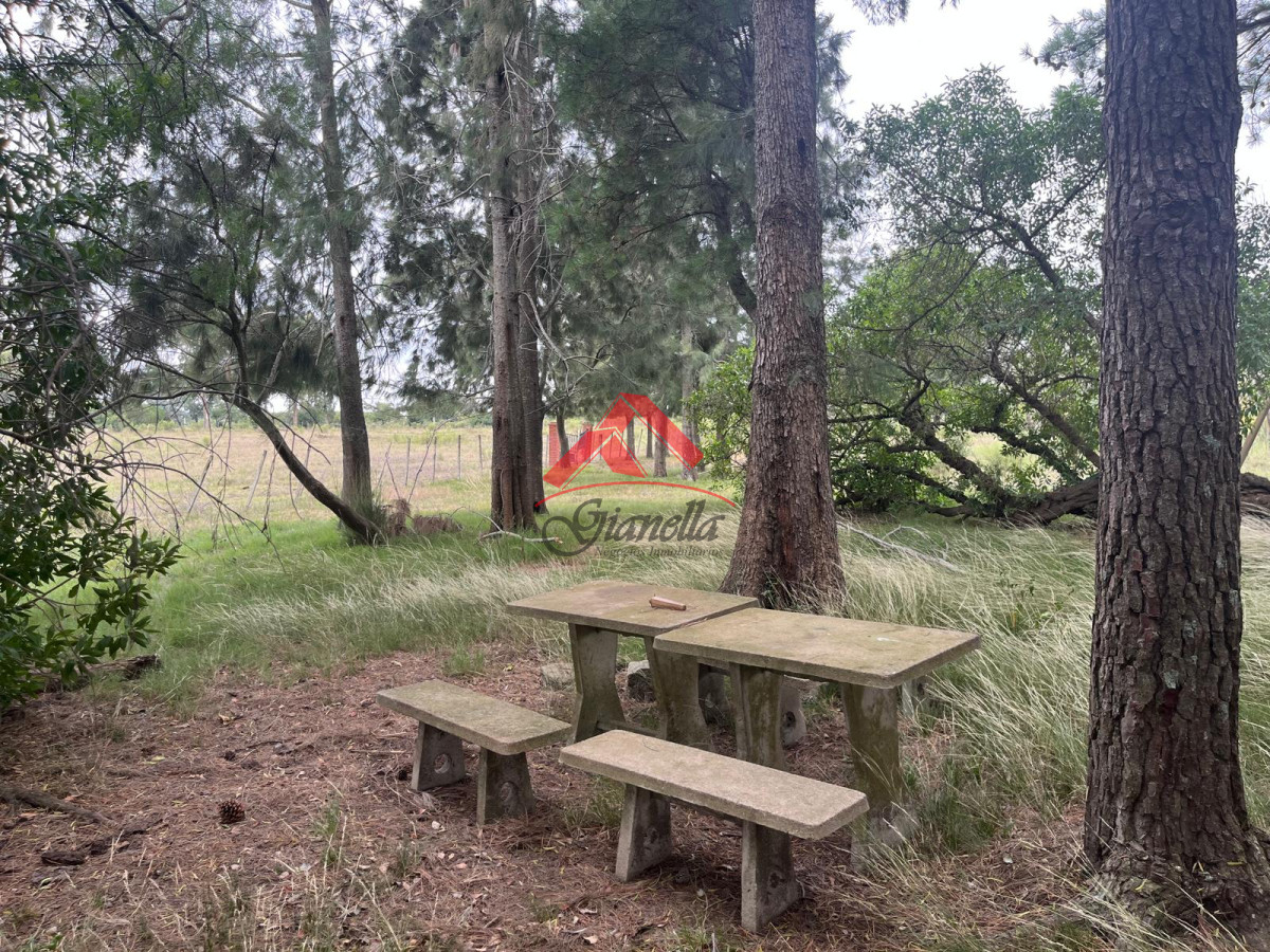 Chacra ID.2081 - Chacras a pocos kilómetros de San Carlos