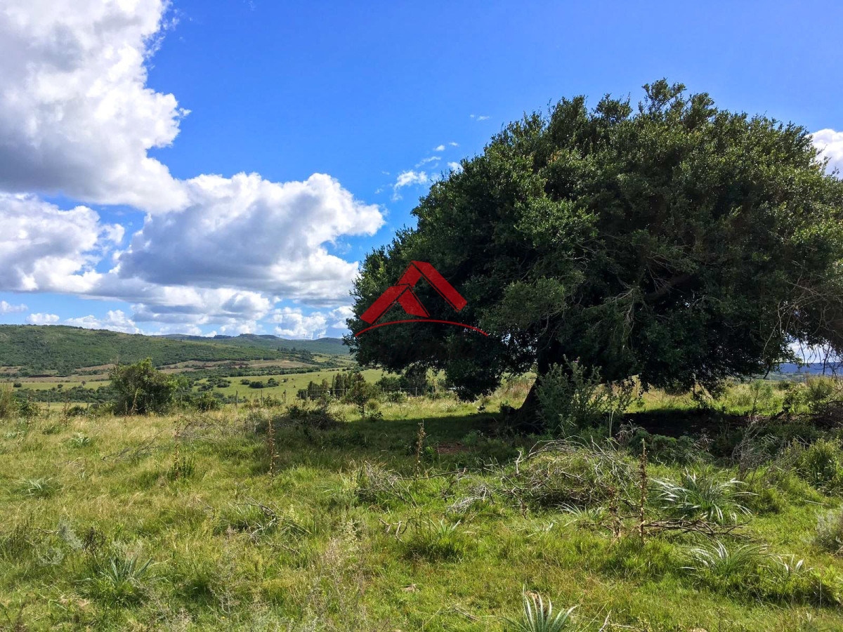 Chacra ID.2079 - Chacra 19 hectáreas