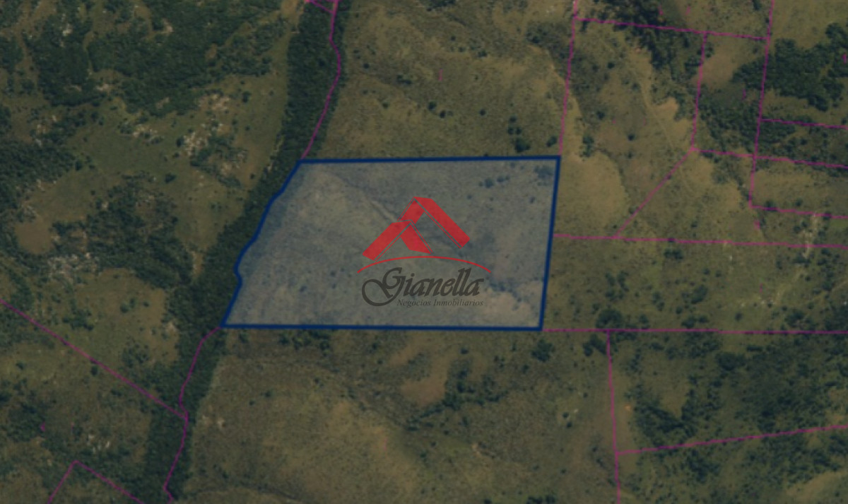 Chacra ID.2079 - Chacra 19 hectáreas