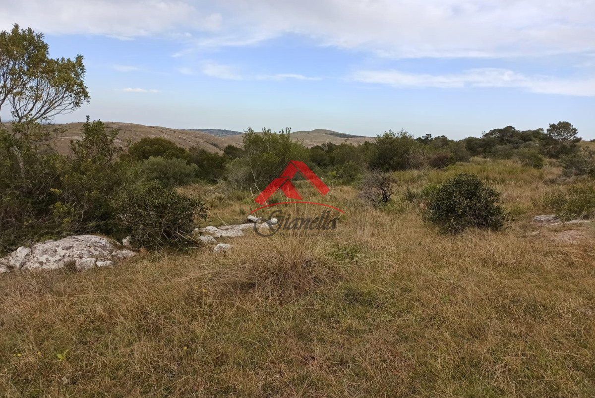 Chacra ID.2048 - Chacra de 5 hectáreas, Las Cañas