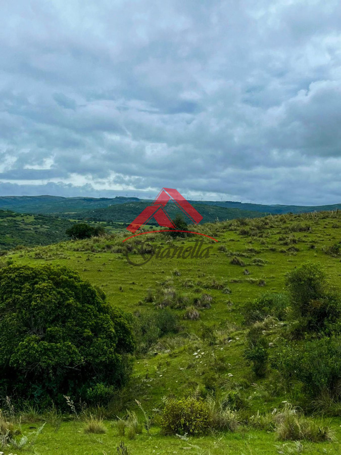 Chacra ID.2078 - Chacra 19 hectáreas