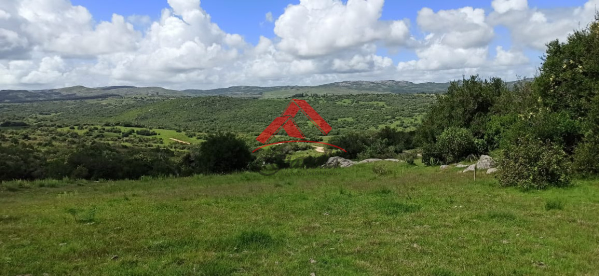 Chacra ID.2129 - Chacra de 5,6 has en Las Cañas, Maldonado.