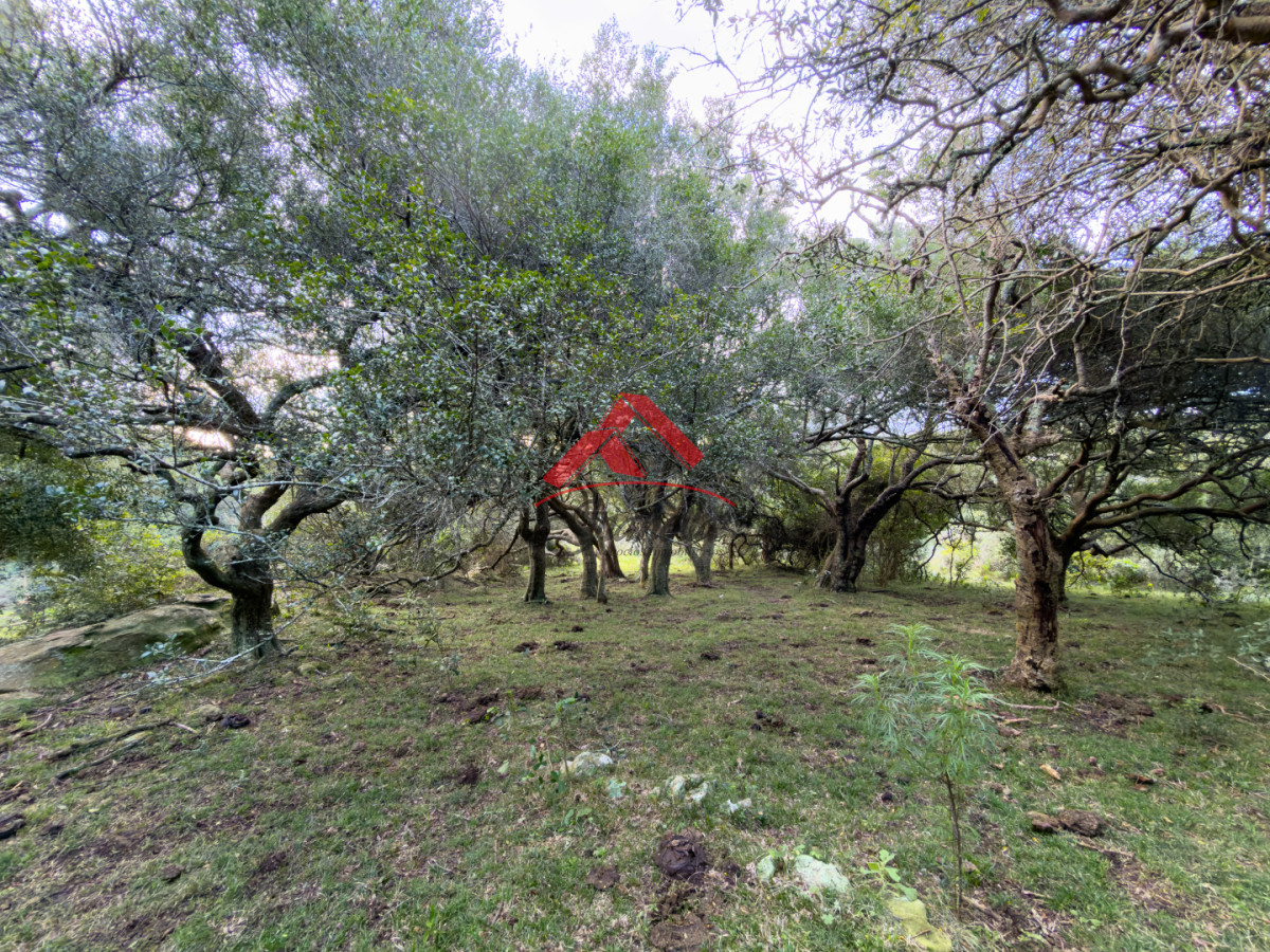 Chacra ID.2246 - Chacra de 7 hás con increíble vista panorámica