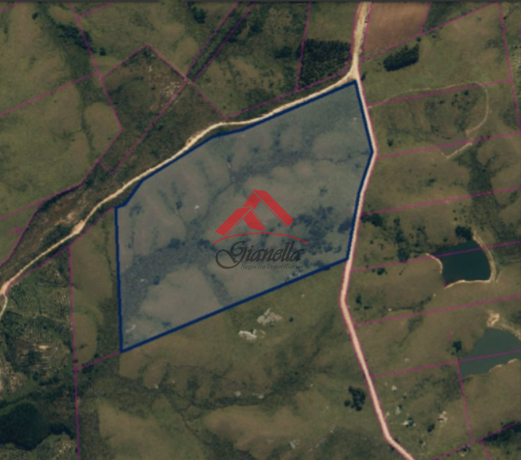 Chacra ID.2087 - Chacra a pocos minutos de Garzón