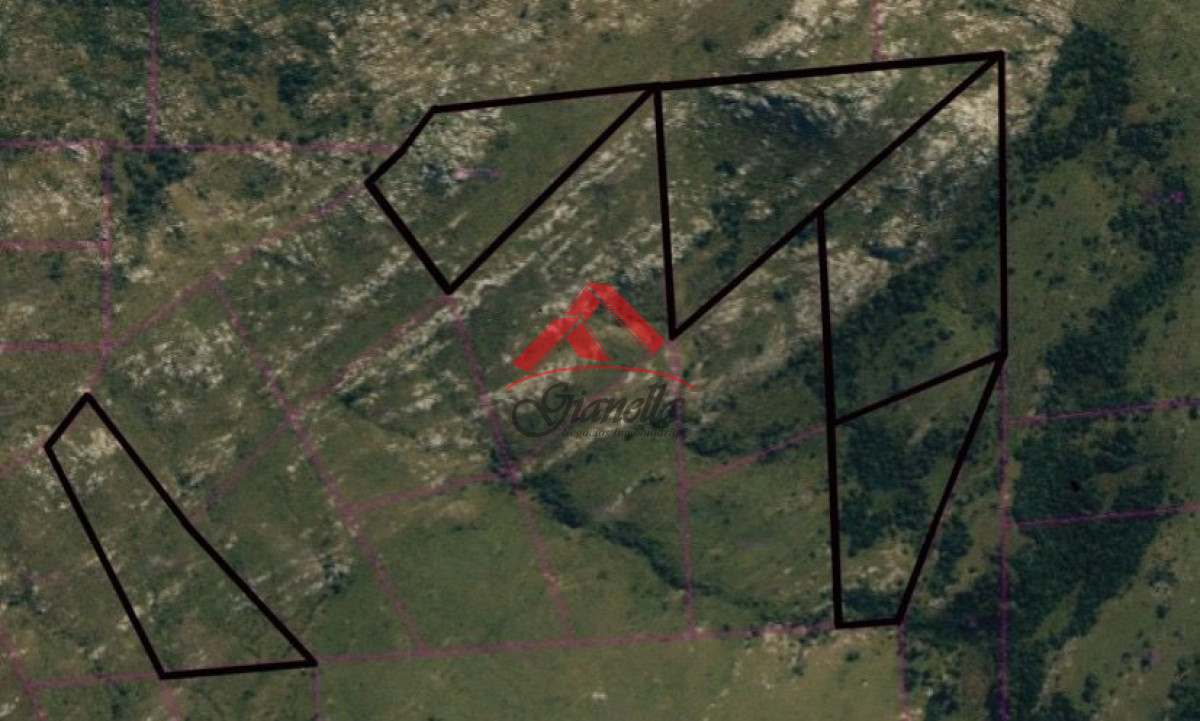 Chacra ID.2031 - Chacras de 5 y 8 hectáreas