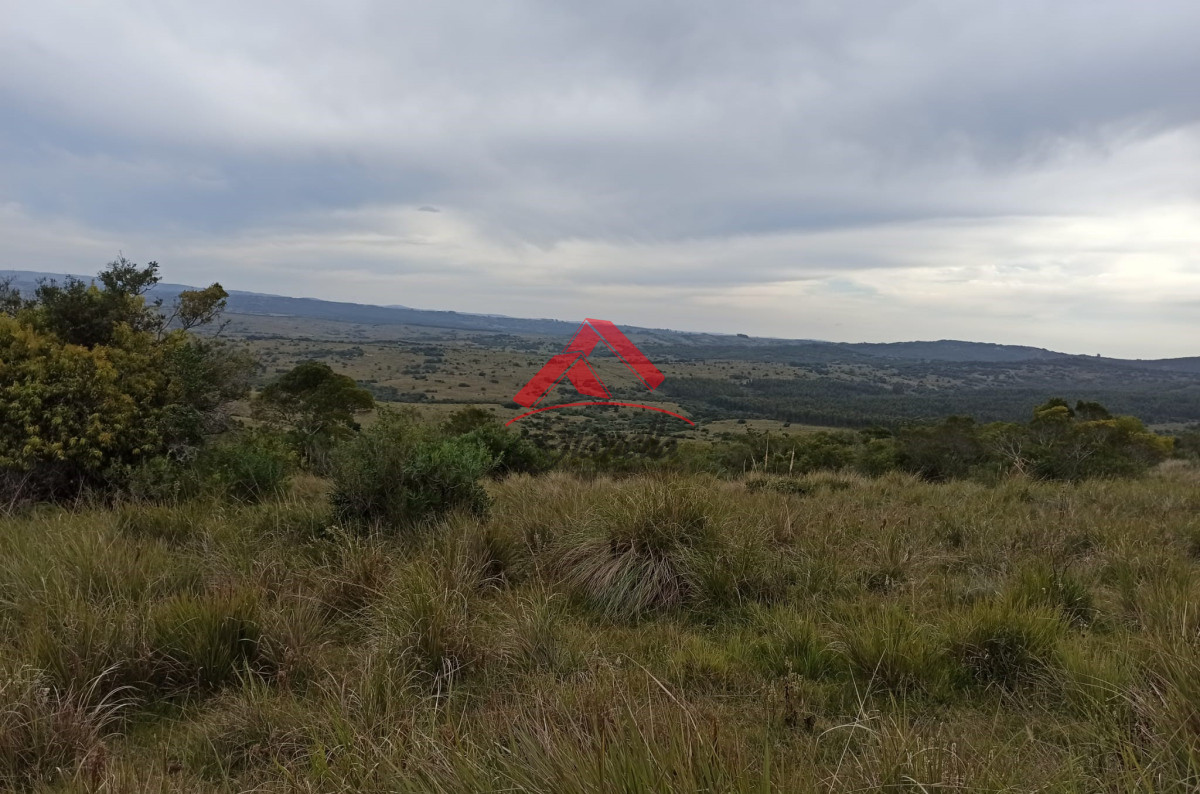 Chacra ID.2048 - Chacra de 5 hectáreas, Las Cañas