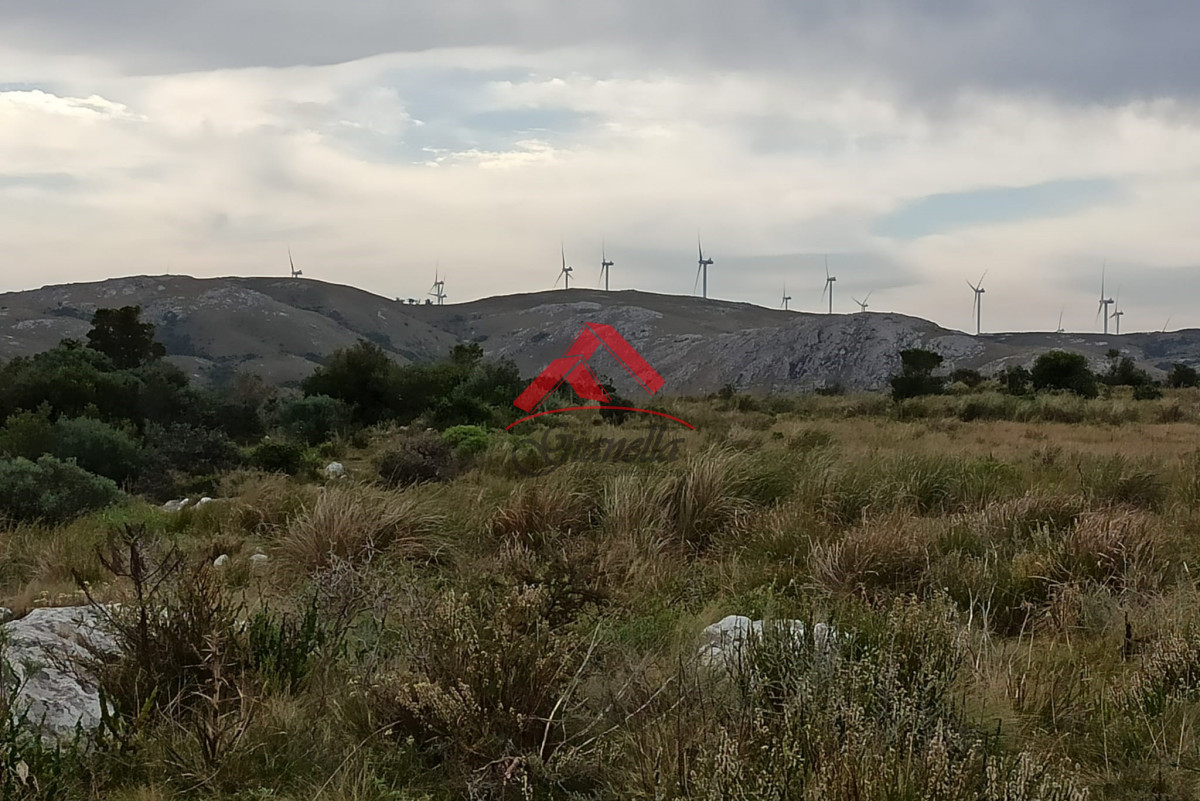 Chacra ID.2048 - Chacra de 5 hectáreas, Las Cañas