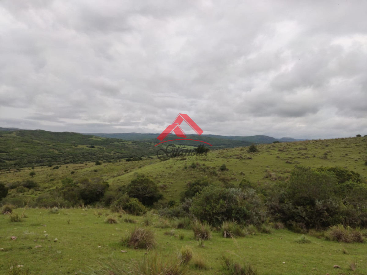 Chacra ID.2079 - Chacra 19 hectáreas