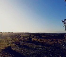 Chacra de 5 hectáreas, Las Cañas