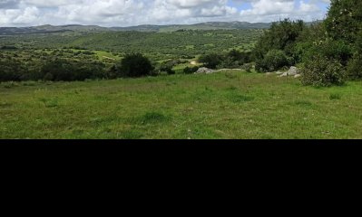 Chacra de 5,6 has en Las Cañas, Maldonado.