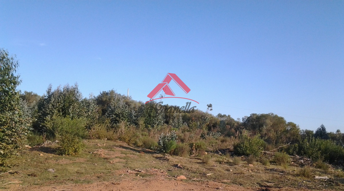 Campo Ref.1790 - Espectacular campo con las mejores vistas