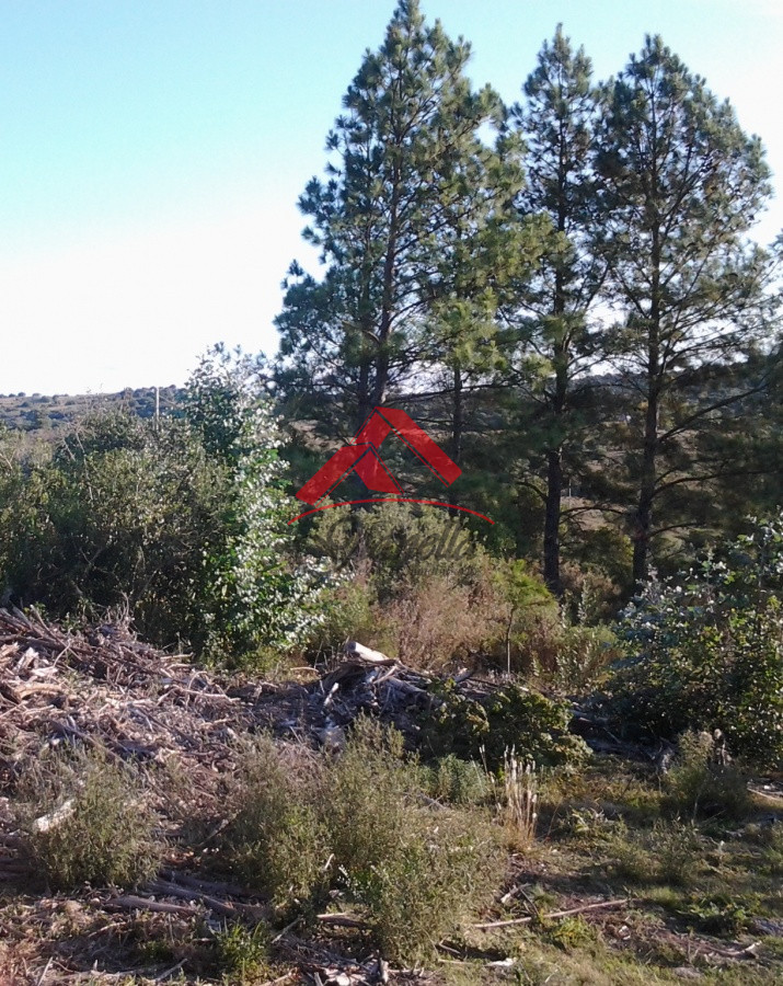 Campo Ref.1790 - Espectacular campo con las mejores vistas
