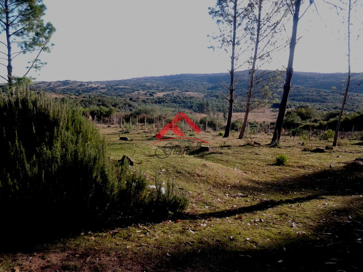 Campo Ref.1790 - Espectacular campo con las mejores vistas