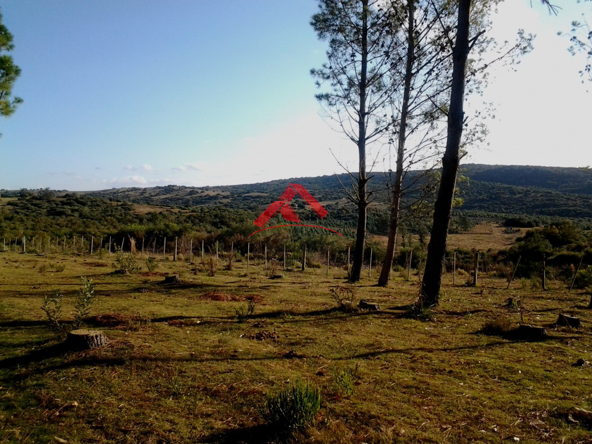 Campo Ref.1790 - Espectacular campo con las mejores vistas